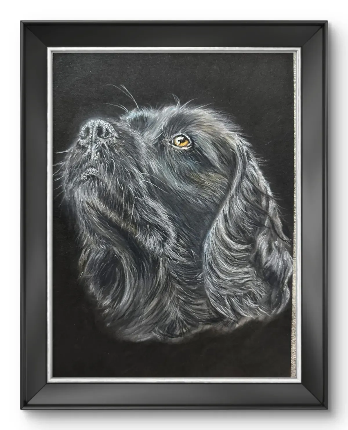 Descriptive text for the image