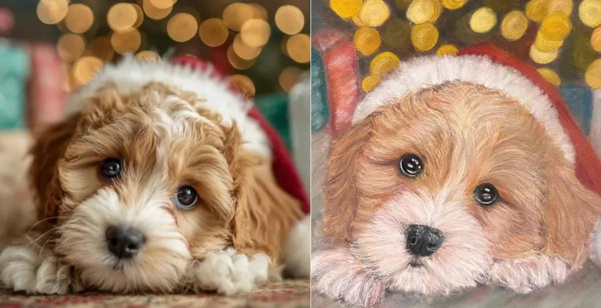 Descriptive text for the image