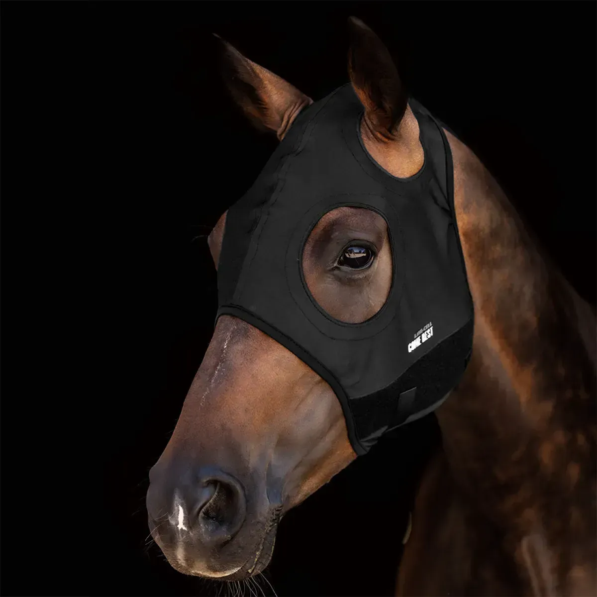 8223631367294-ojbokvusvsqatneu4yzwjv-IMG-7744 thumbnail image