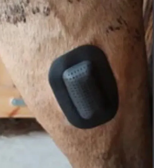 undefined thumbnail image