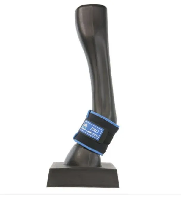 undefined thumbnail image