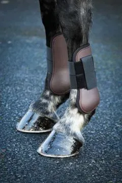 8226073486252-3h5urkhjndqxw8v8ejv8k-0031601-equi-sential-tendon-boots-brown-full-360 thumbnail image