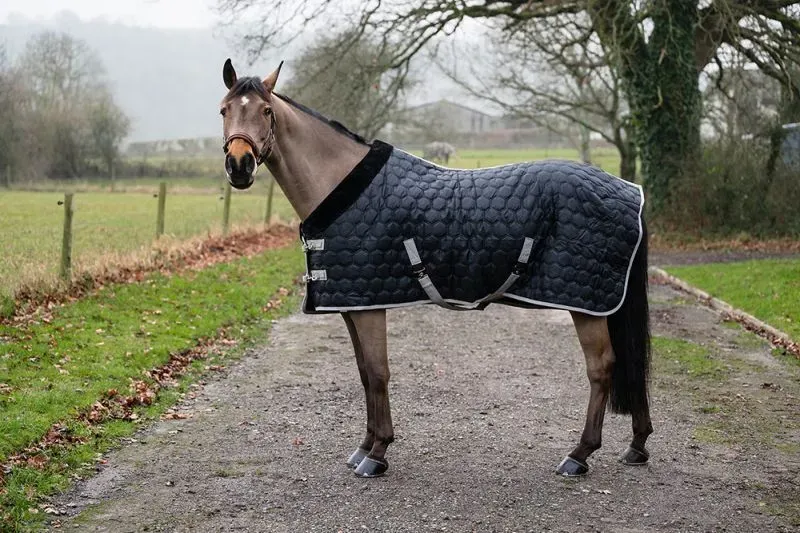 8227886238670-937m1mubhus38lr2j5x7hg-MM-HORSERUG thumbnail image