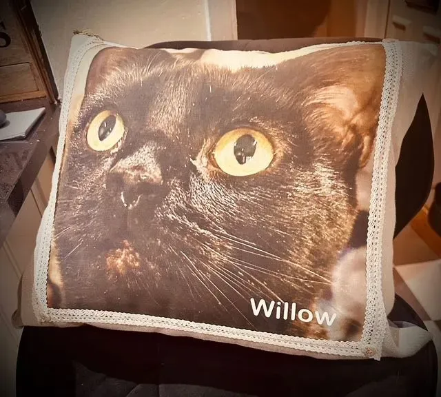 8219330803661-z52plyo4kyyg3x9tsfv0l-Photo-Cushion-Cat-1 thumbnail image