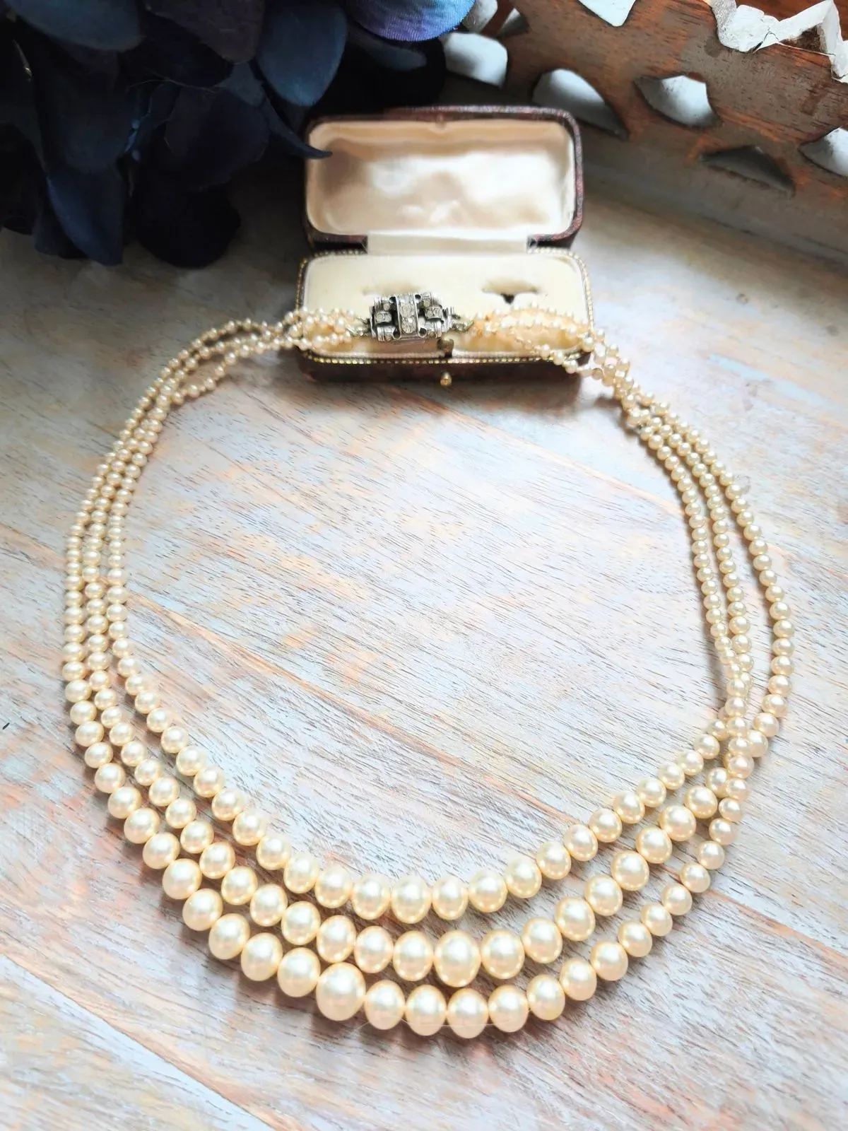 8223138090462-7min9qz0aa74m7lllksarl-MVIMG-20260324-113239-EDIT--1- thumbnail image