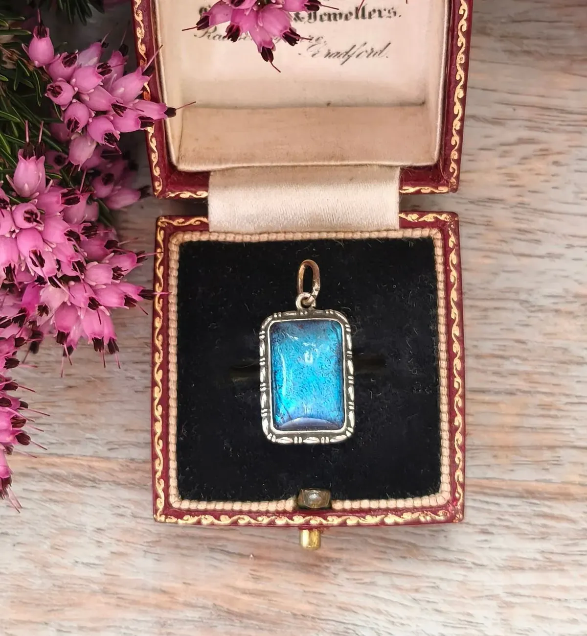 8223281859409-vf9o4vqskpbpatolucli6-MVIMG-20260402-181839-2--1- thumbnail image