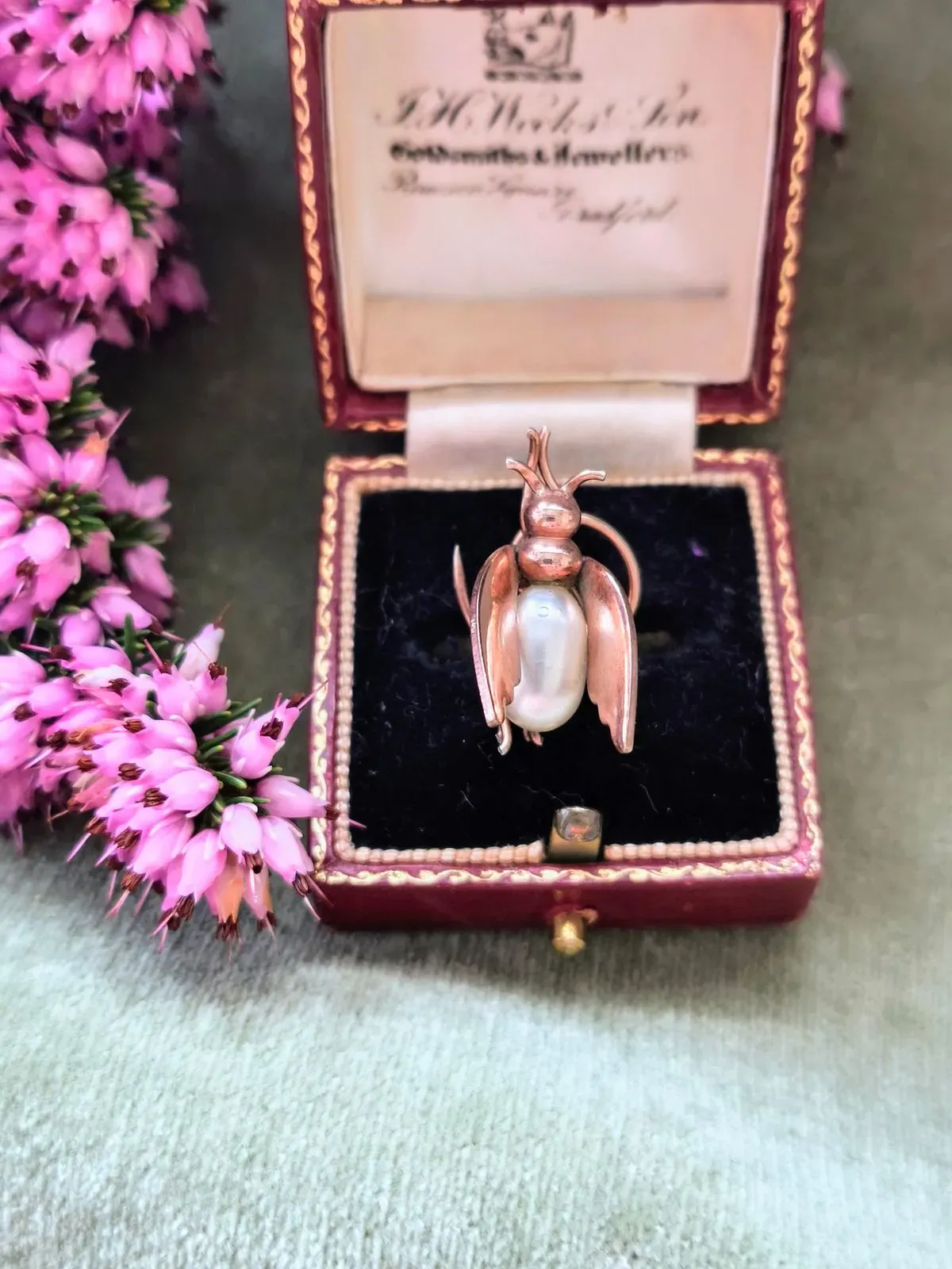 8223288651668-ne6v0egzsqo8qaz47thze-MVIMG-20260409-170147-2--1- thumbnail image