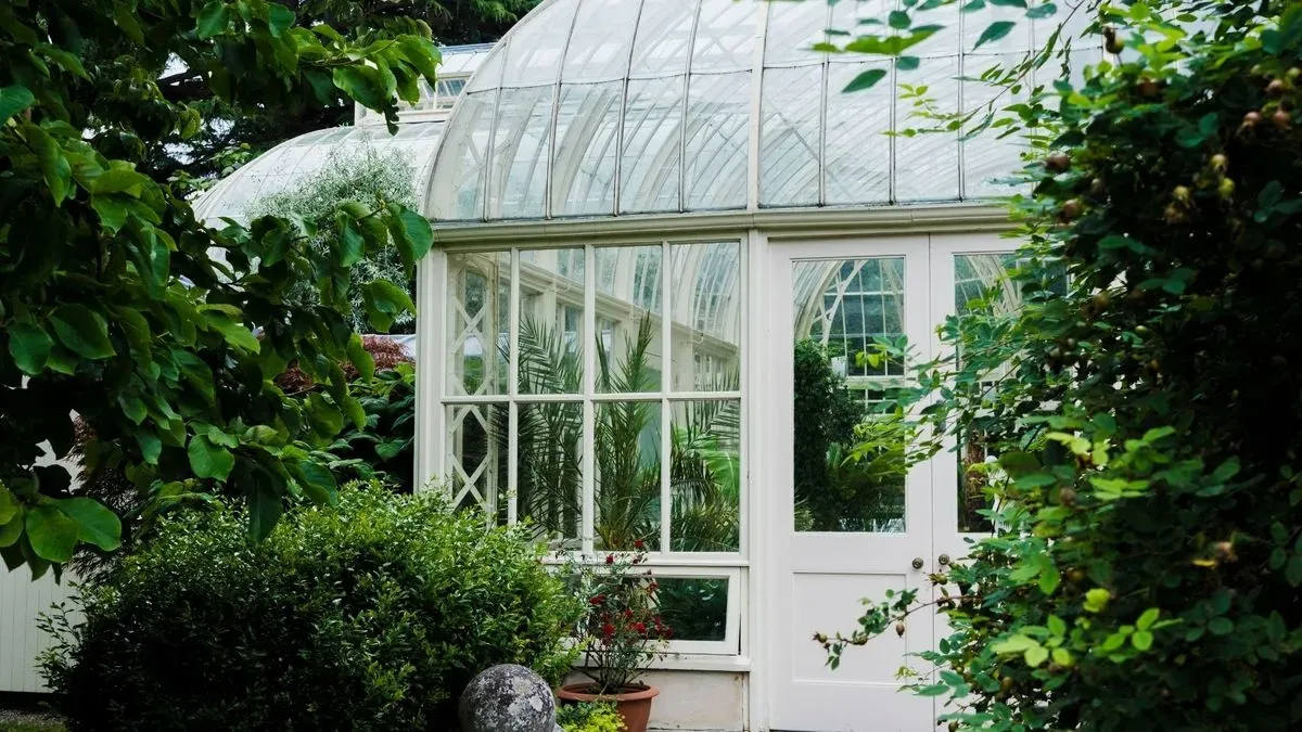 Customer consultation for solar film options in Highcliffe