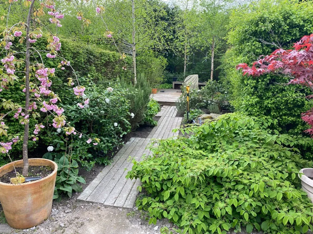 Transform Your Garden Today