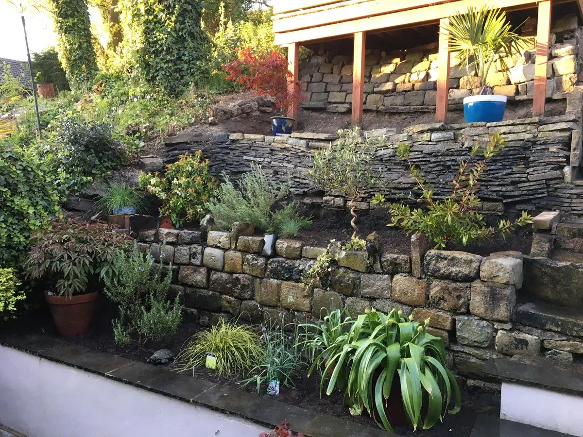 Planting and Transplanting