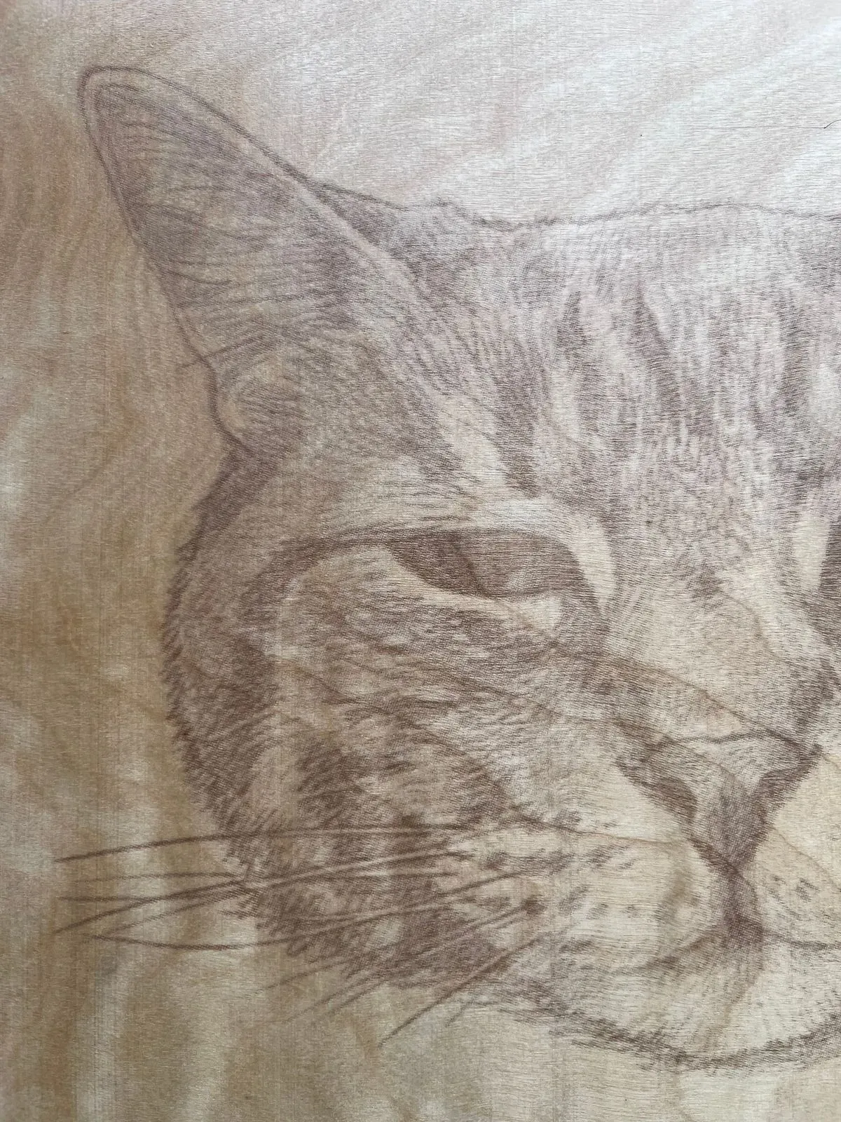 undefined thumbnail image