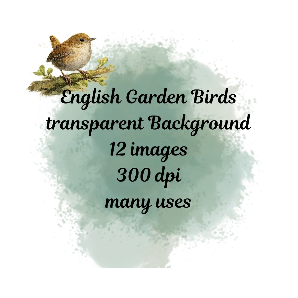 undefined thumbnail image