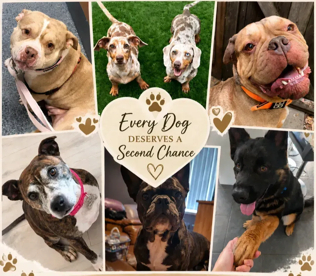 Foster Homes