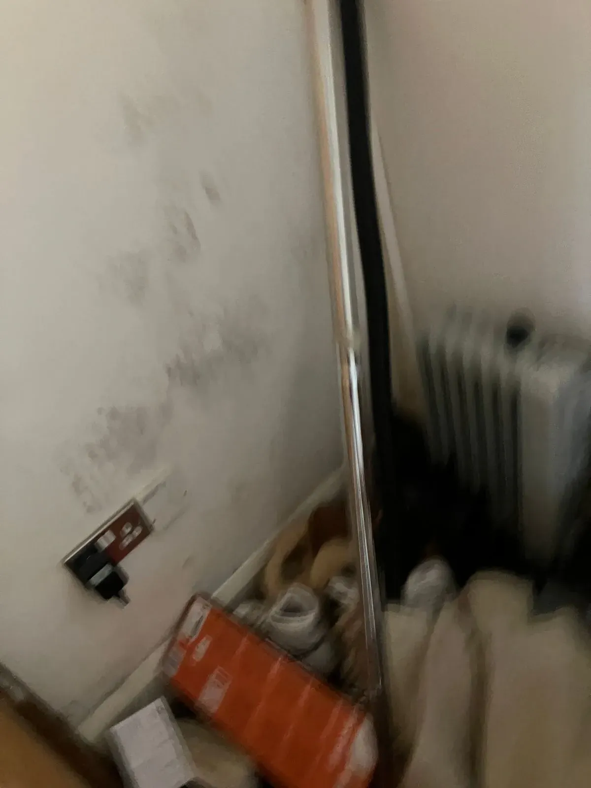 Gallery image 32
