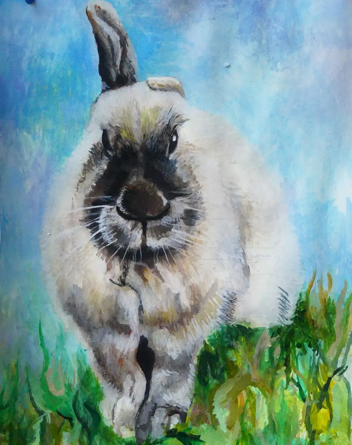 Rabbit Portraits