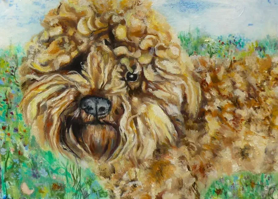 Dog Portraits