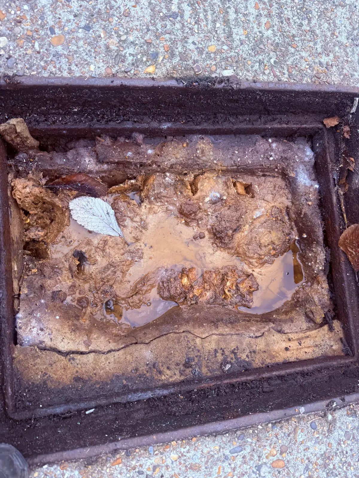 Root Removal from Drains image background image