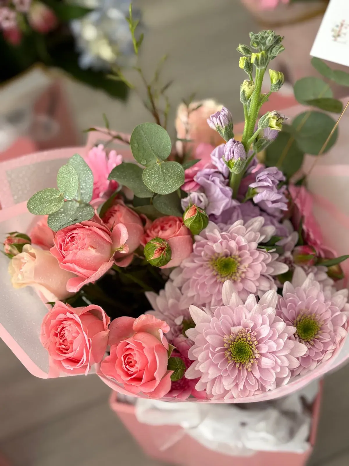 8222358250330-s824ngwina70nzr92wvva18-IMG-5328--2- thumbnail image