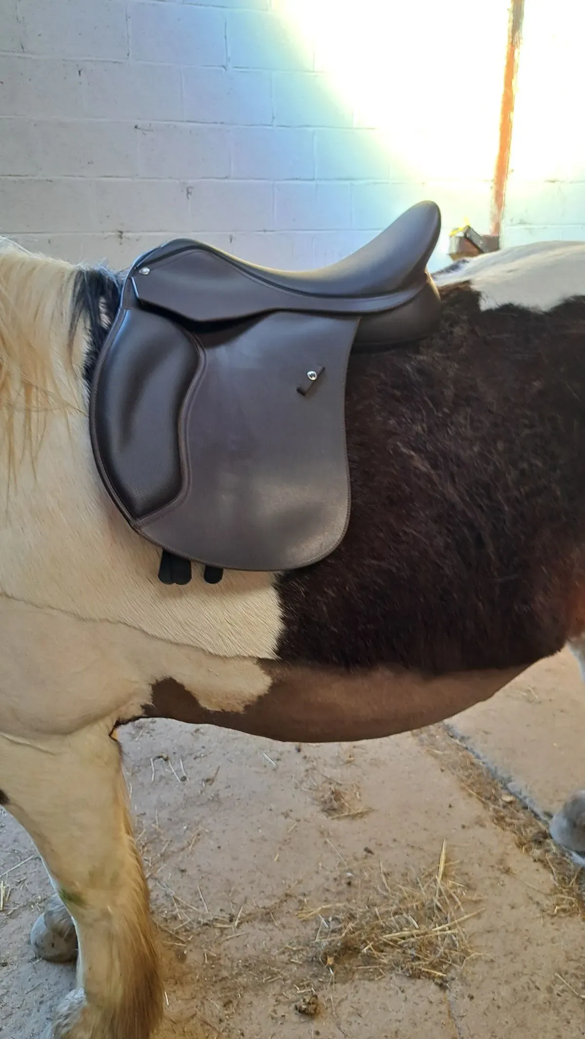 Saddle fitting adjustments image background image