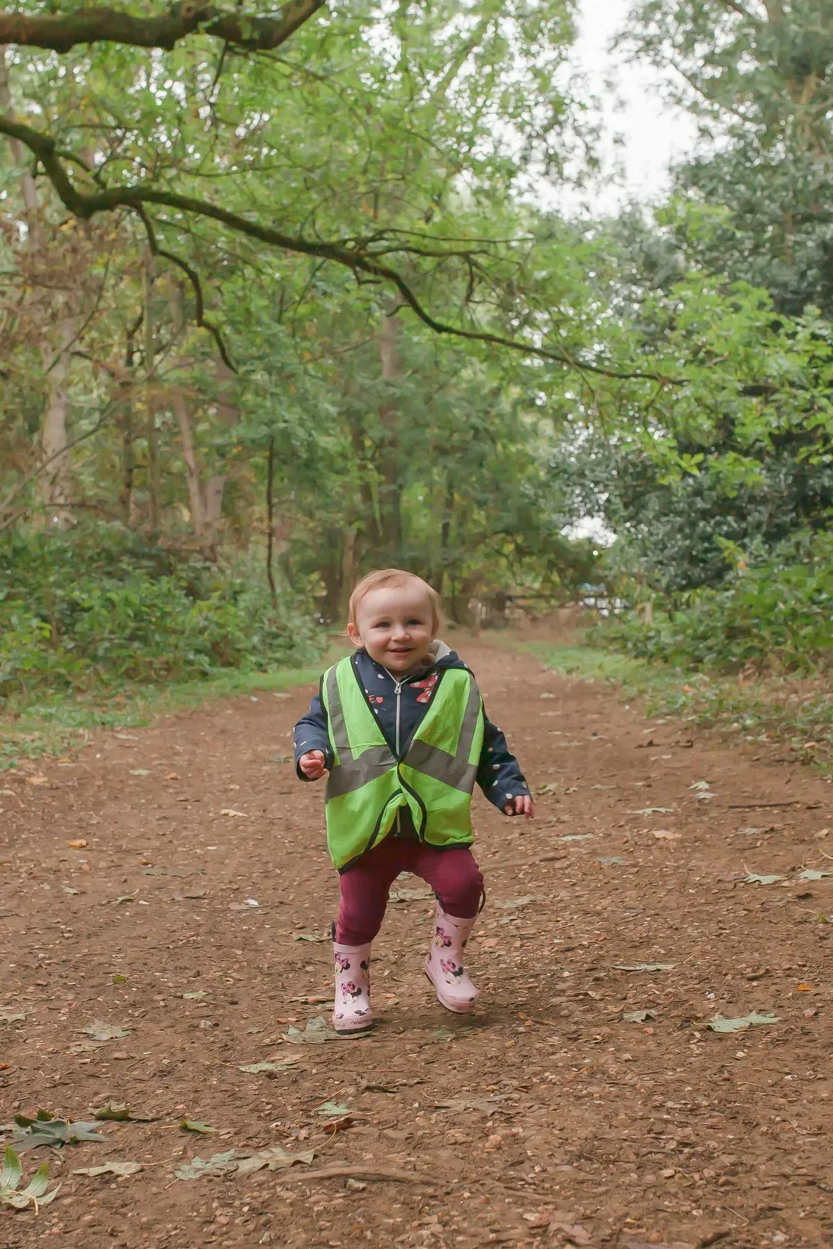 Descriptive text for the image