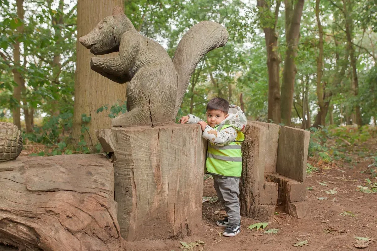 Descriptive text for the image