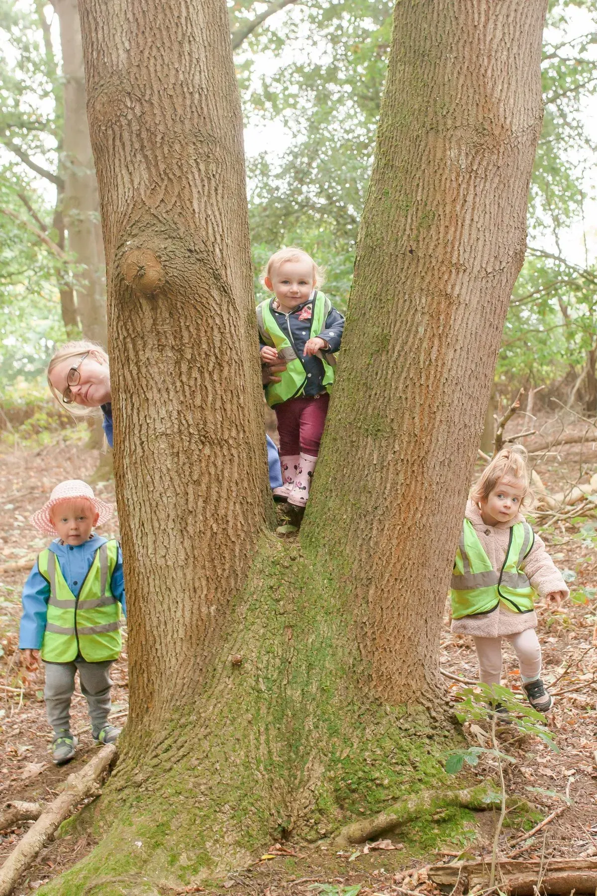 Descriptive text for the image