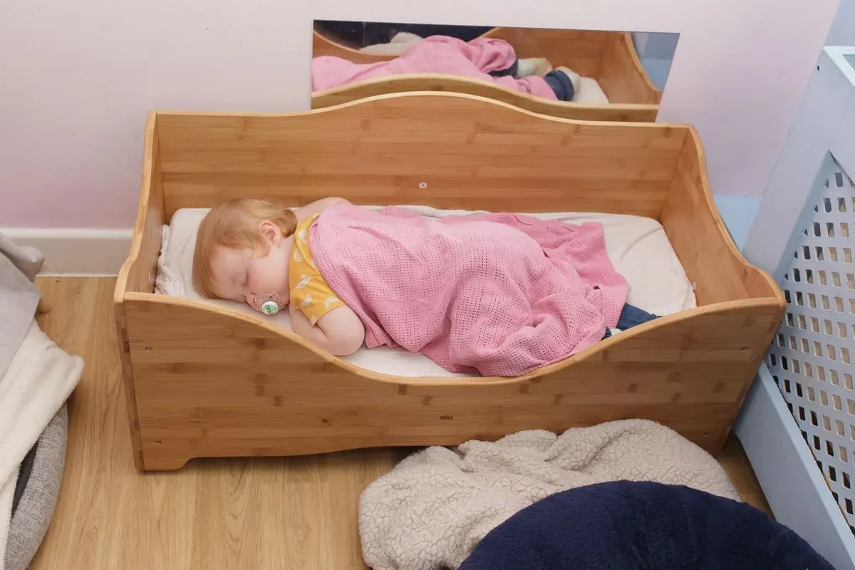 Descriptive text for the image