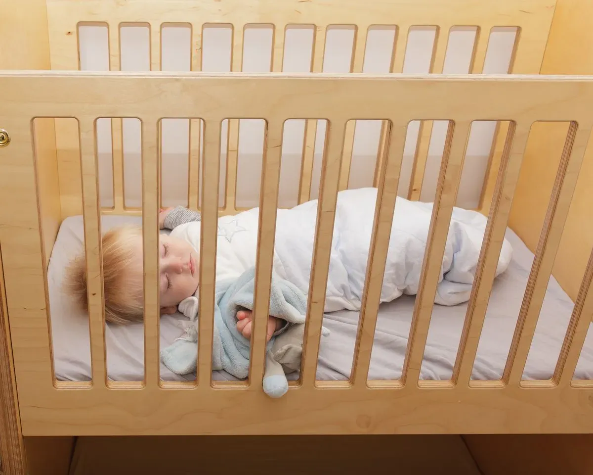 Descriptive text for the image