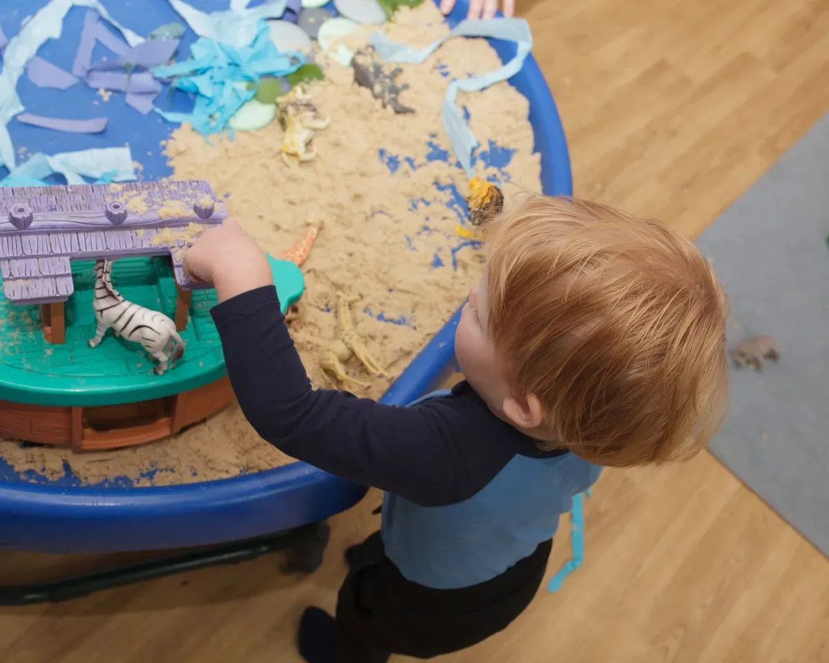 Descriptive text for the image