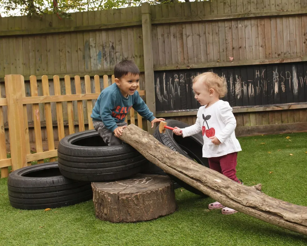 Descriptive text for the image