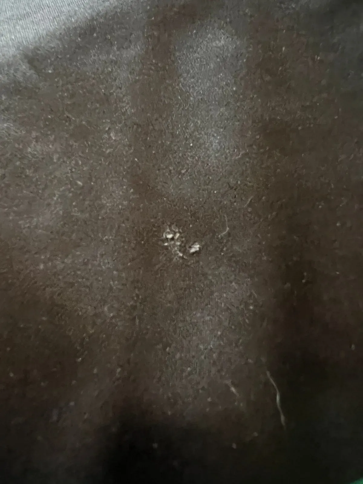 undefined thumbnail image