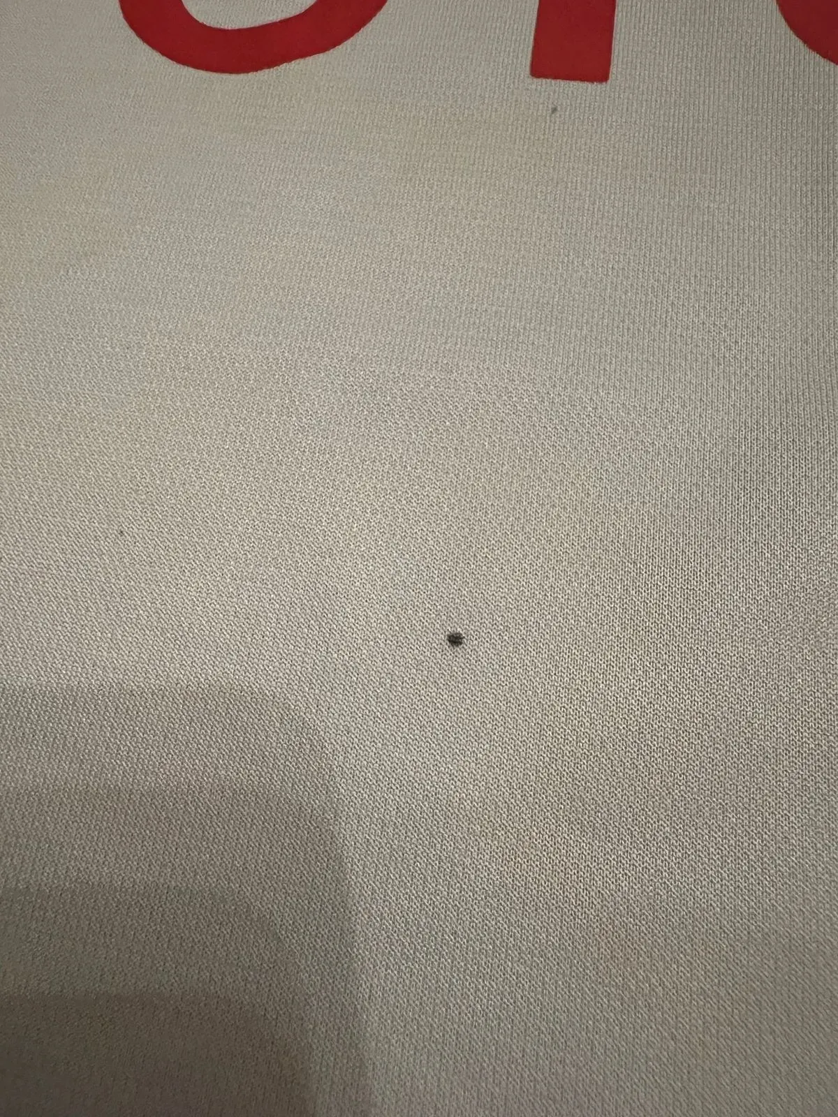 undefined thumbnail image