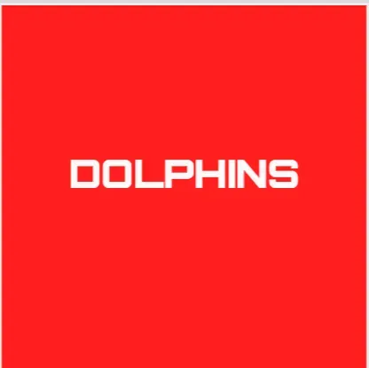 Screenshot 2025-09-12 190153 collection main image