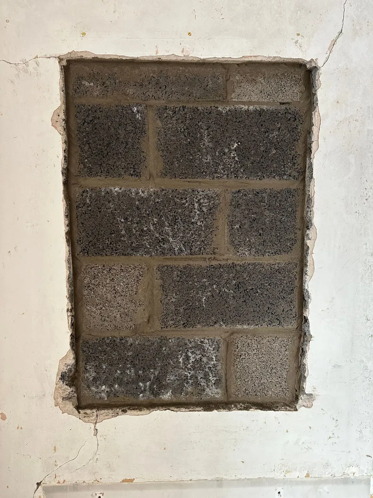 Gallery image 10