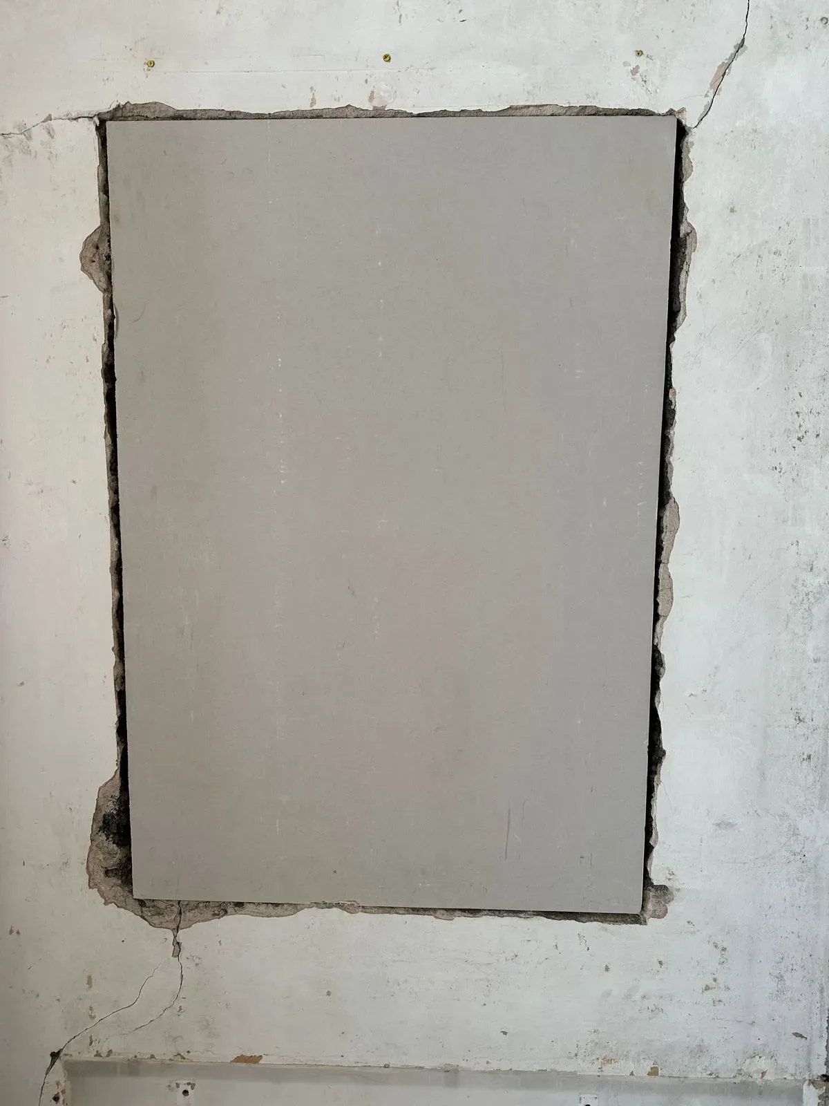 Gallery image 10