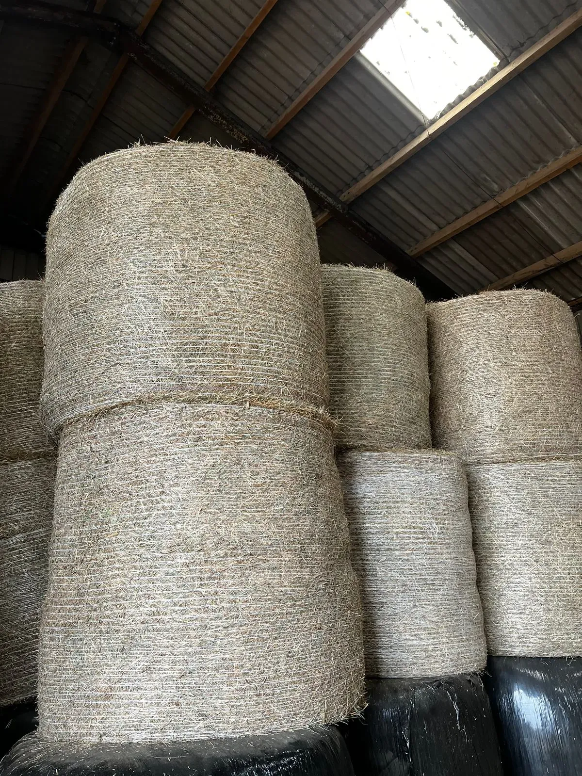 Hay Sales