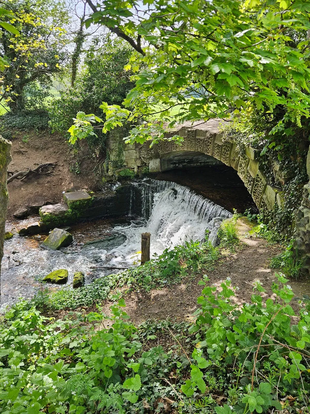 Gallery image 2