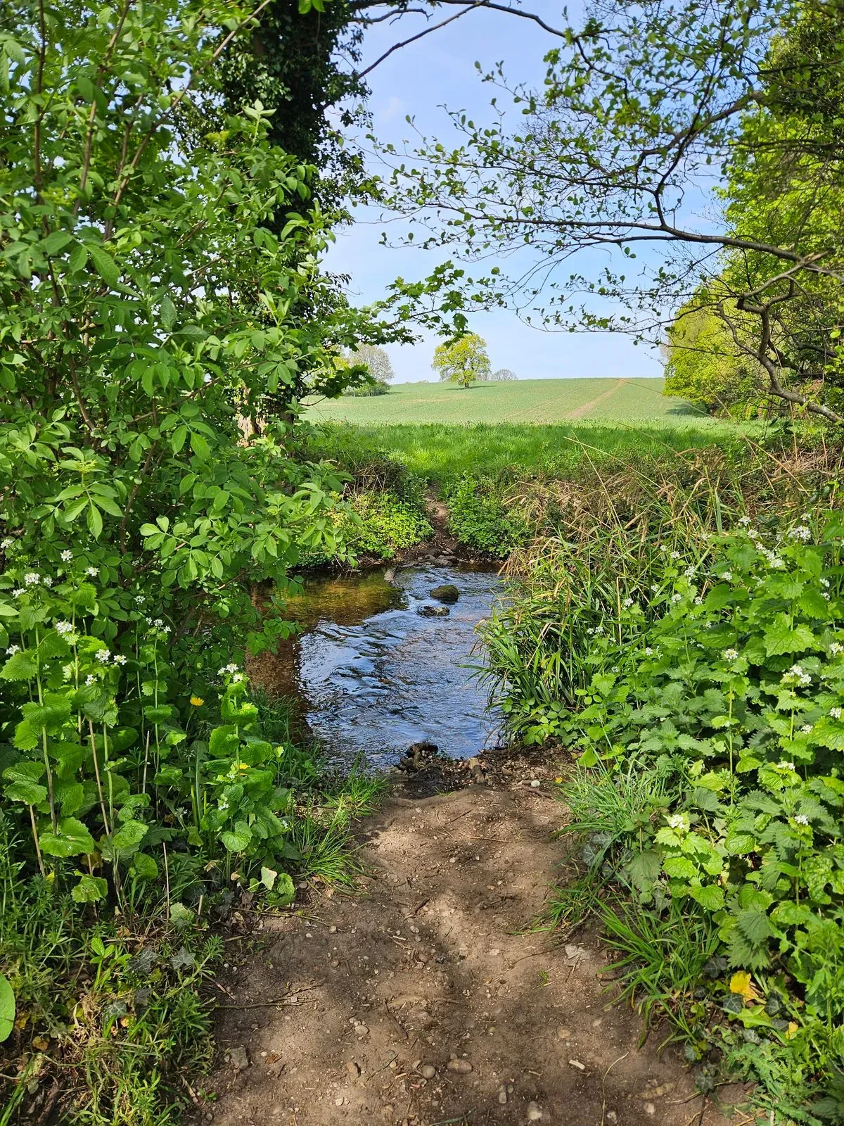 Gallery image 2