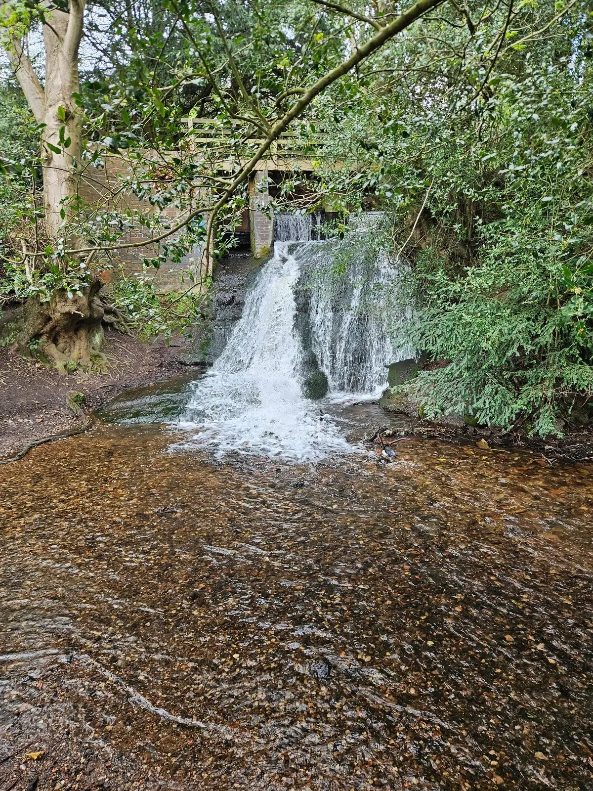 Gallery image 2