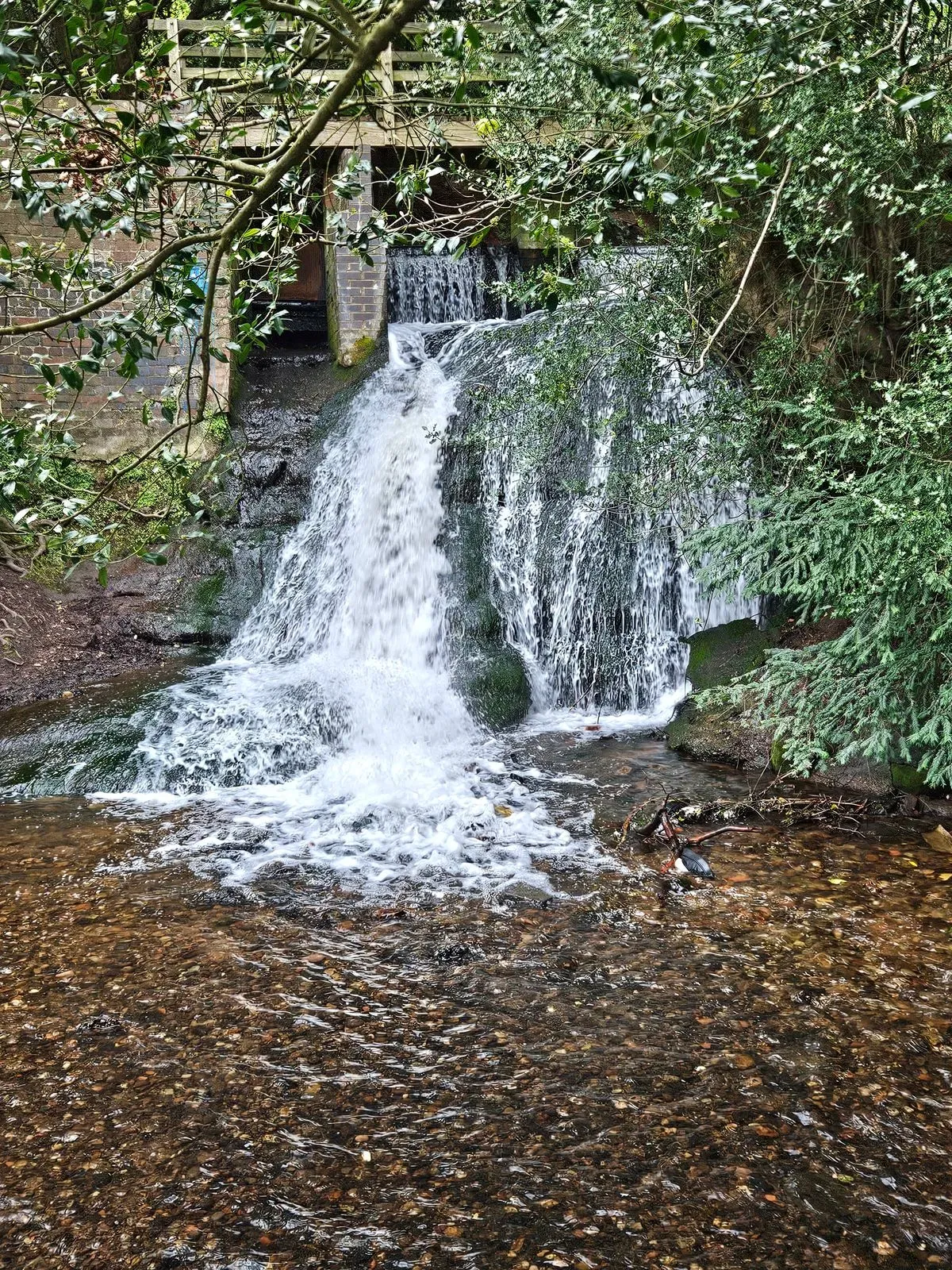 Horns Pool Waterfall