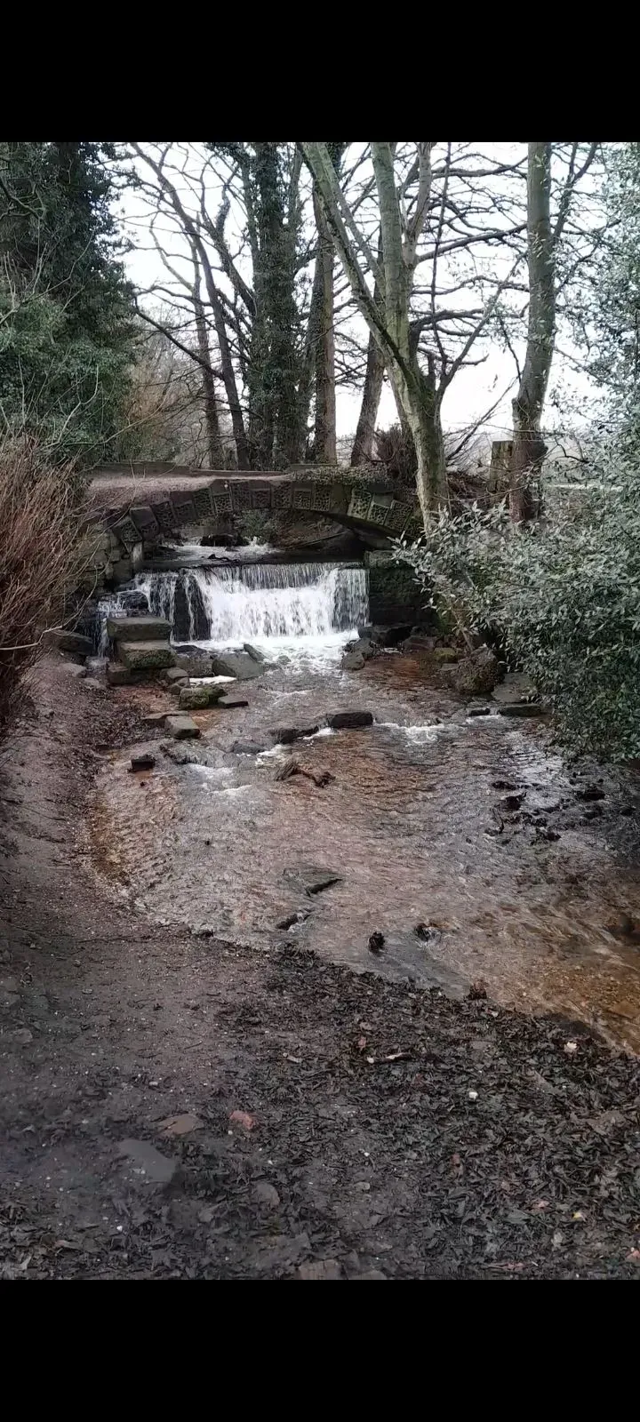 Rugeley Trail Waterfall
