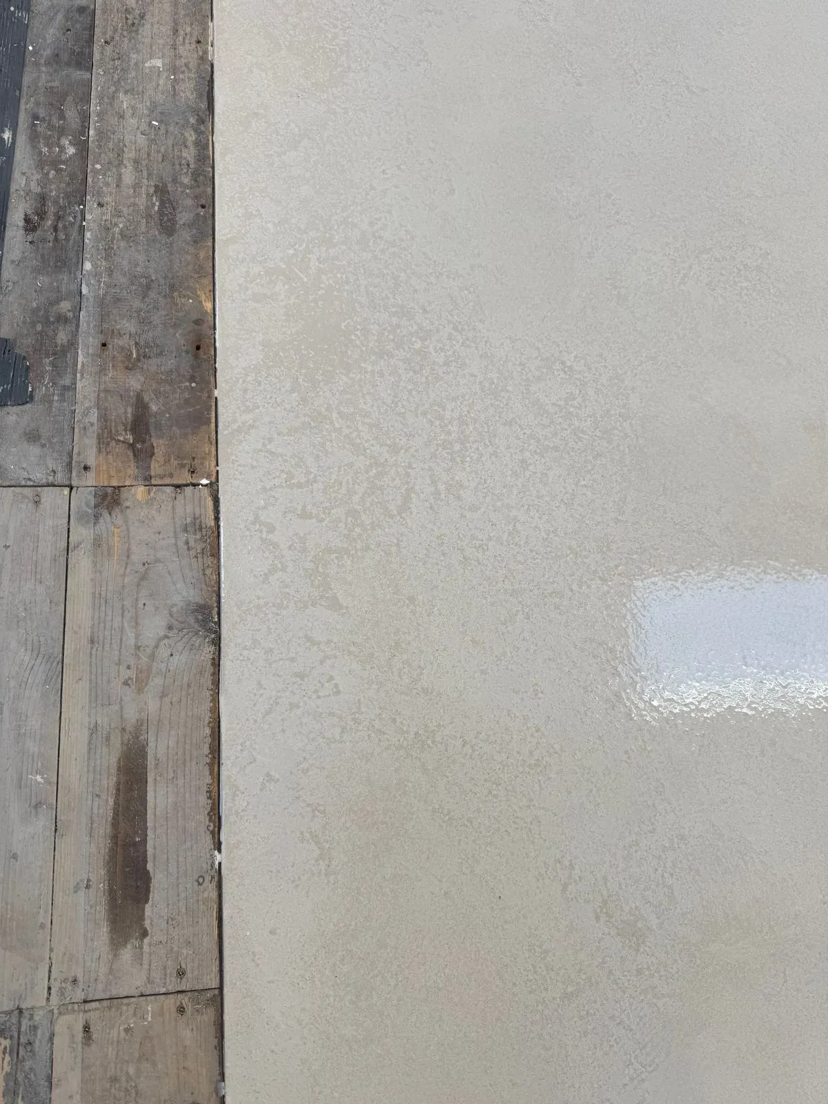 Gallery image 17