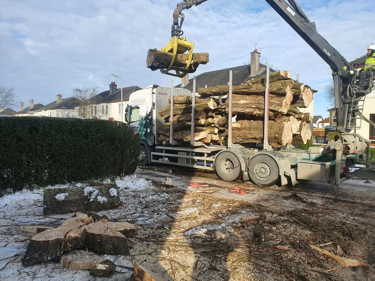 Site Clearance image background image