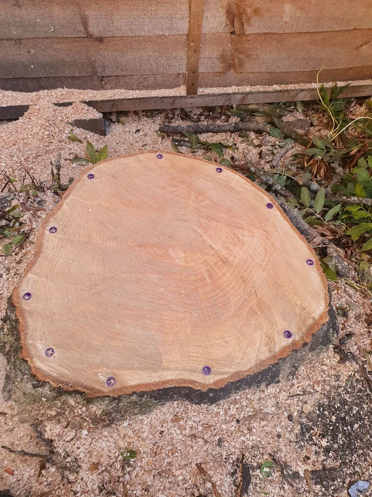 Stump Removal image background image