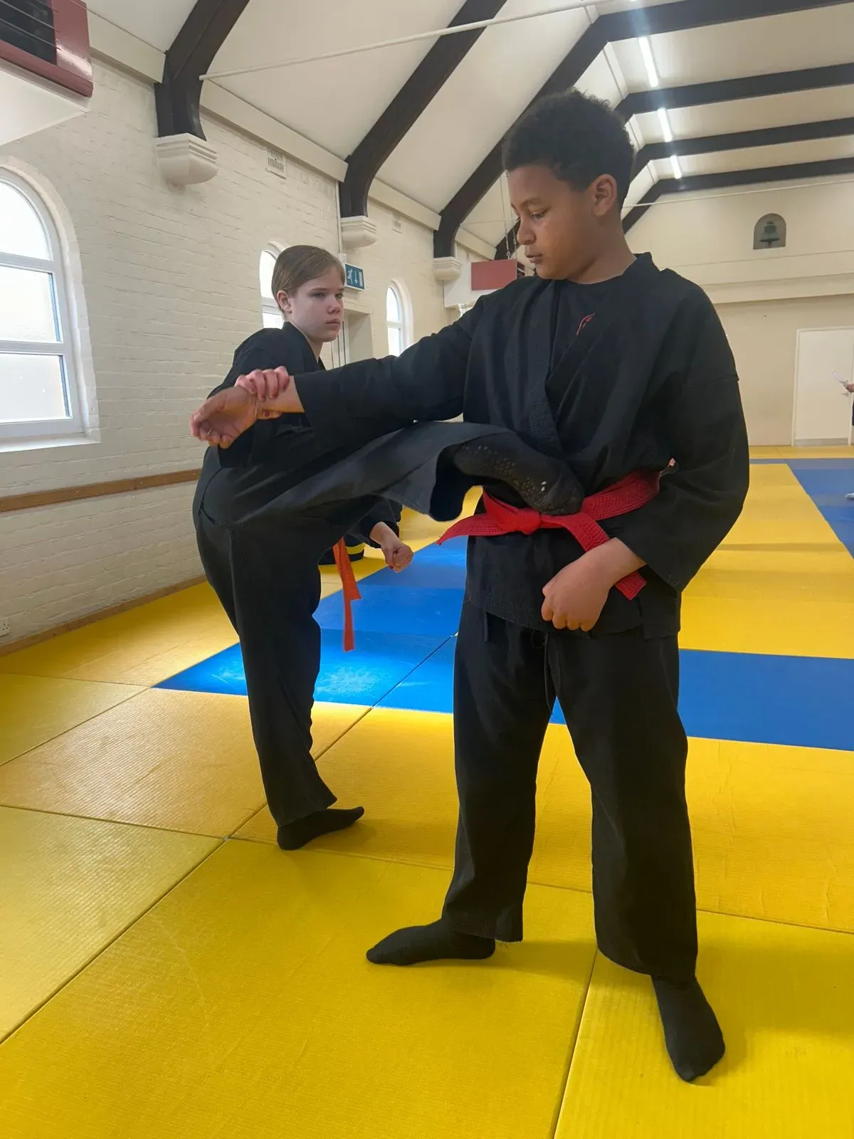 Descriptive text for the image