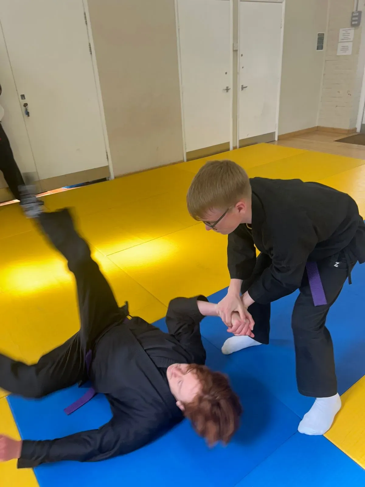 Descriptive text for the image