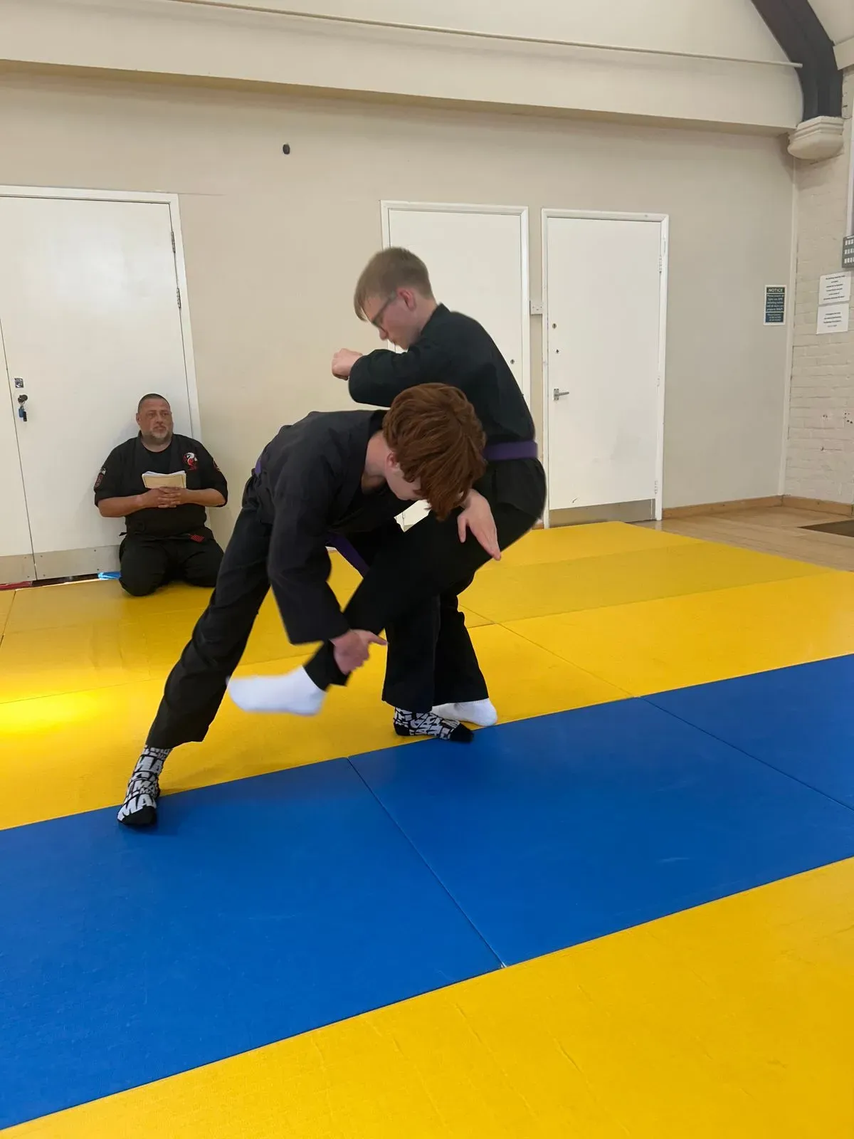 Descriptive text for the image