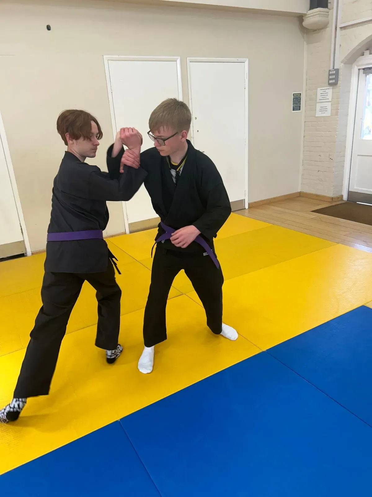 Descriptive text for the image