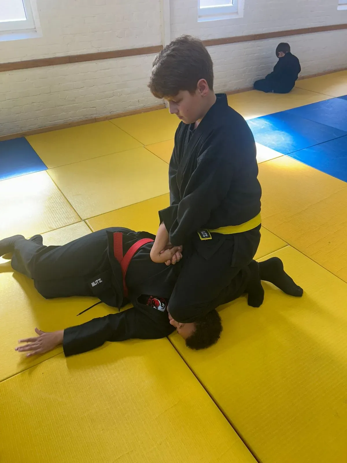 Descriptive text for the image