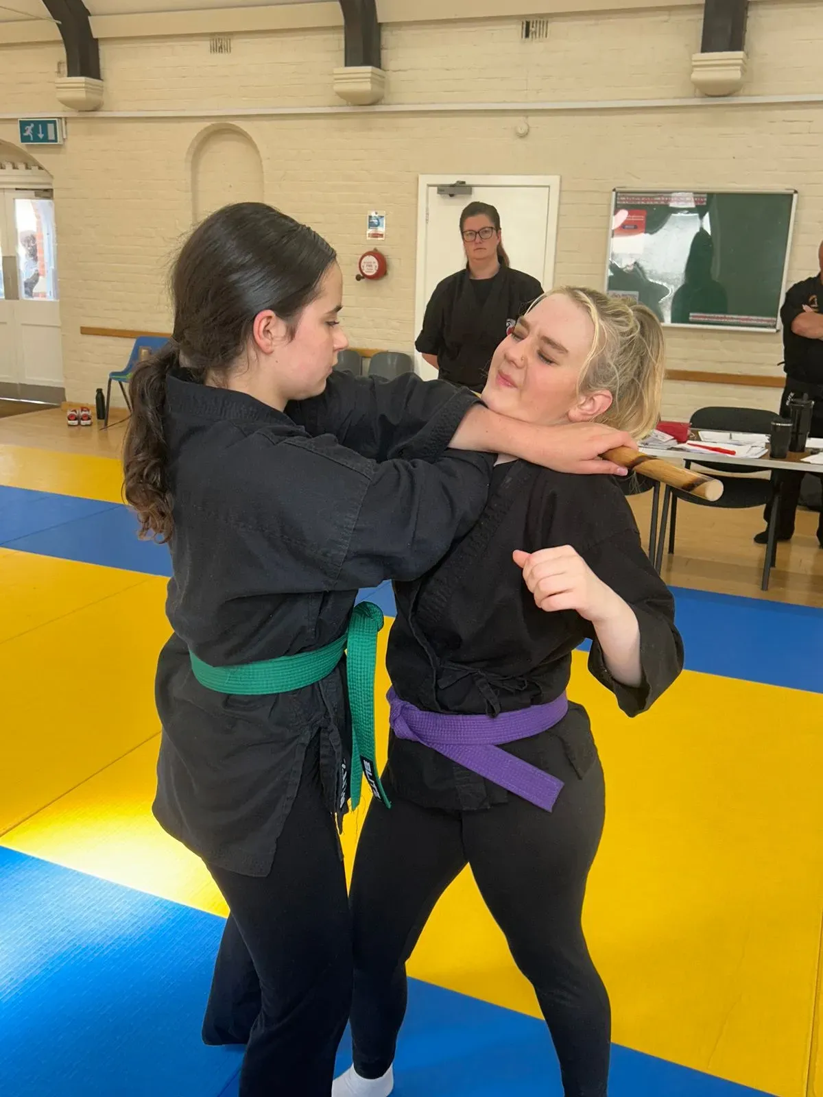 Descriptive text for the image